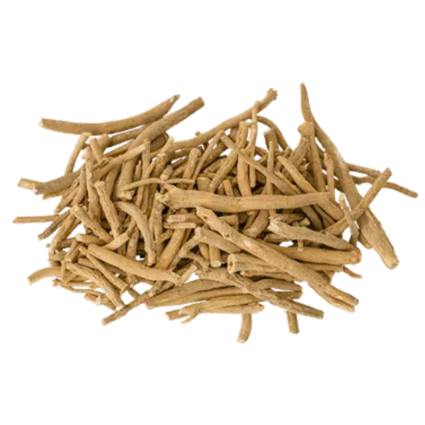 שורש - Dong Quai